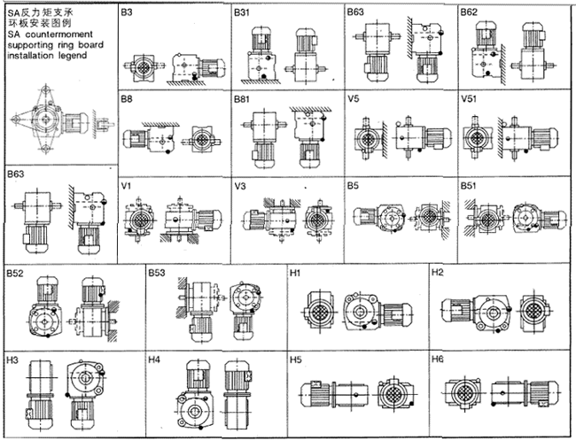 ΁Upc̖c(bio)ӛ