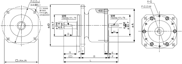 BRFϵзmP(pn)b.(bio)(zhn)pٙC(j)